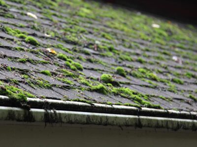 Brixham roof moss removal