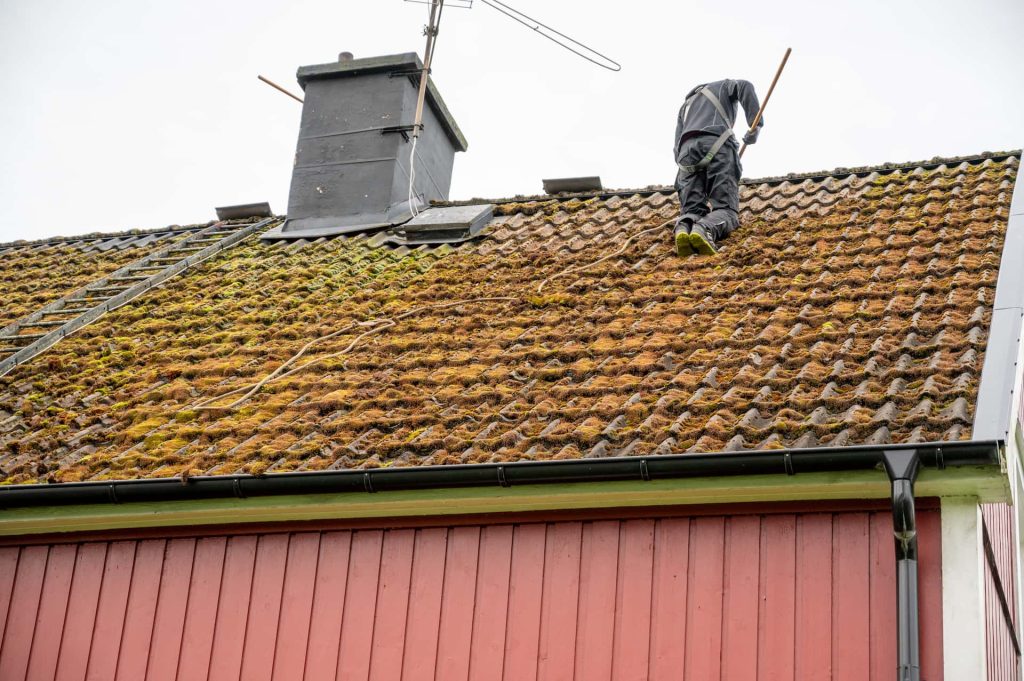 Newton Abbot roof moss removal