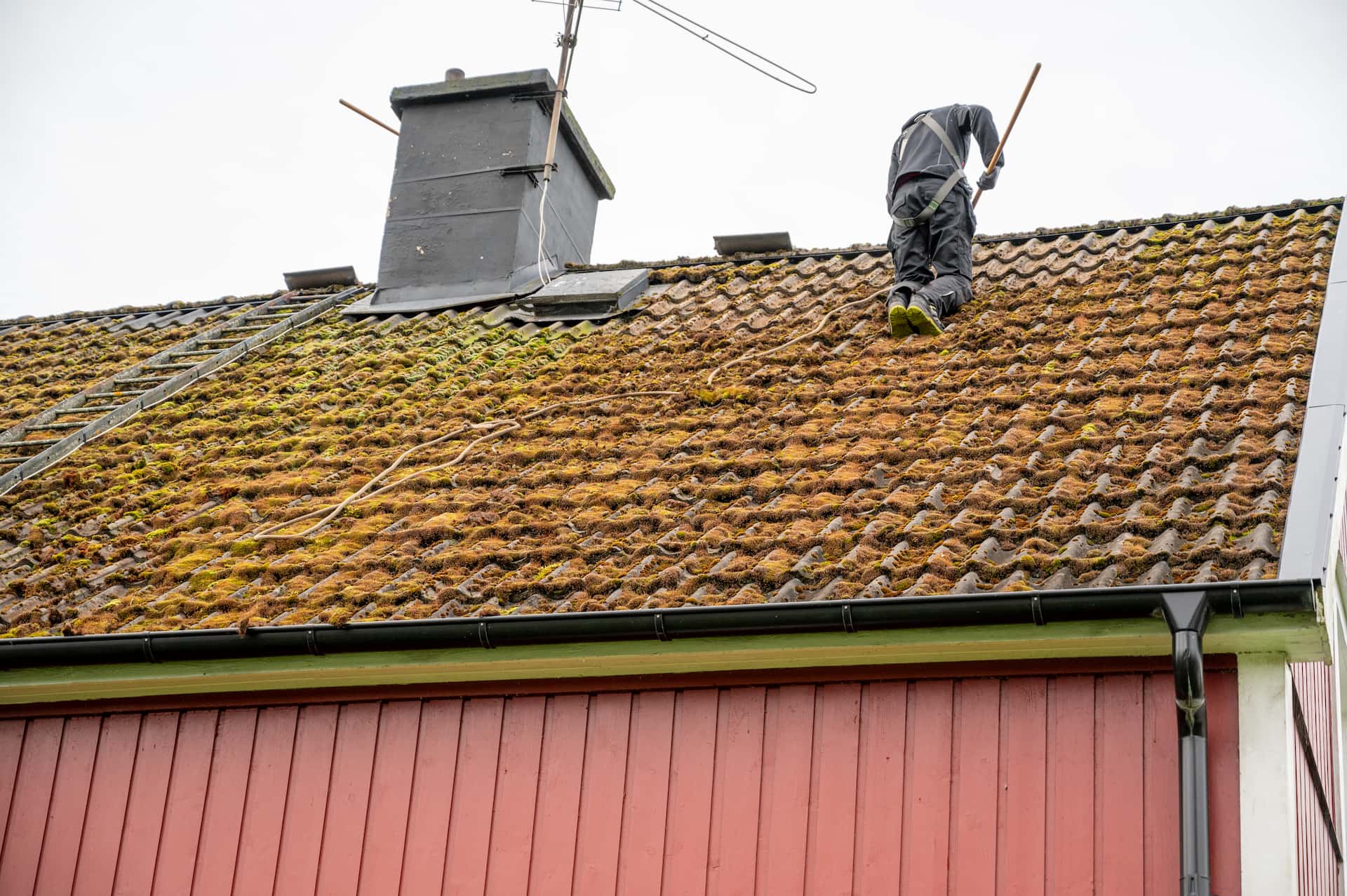 Roof cleaners near me Brixham