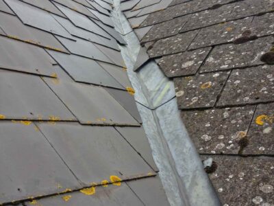 Brixham roof moss remover