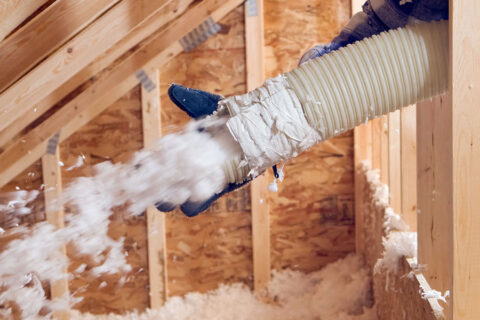 Professional Spray Foam Removal in Newton Abbot