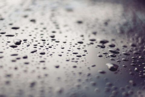 Professional Damp Proofing in Newton Abbot